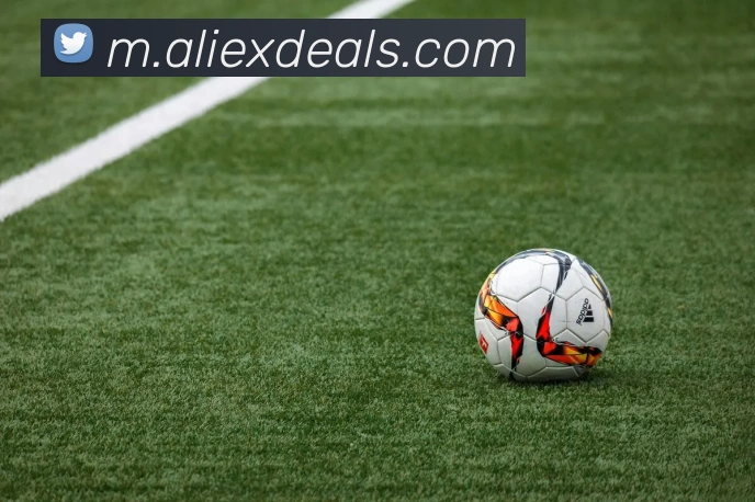互动解说服务